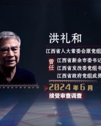 大众娱乐注册-私！贪！狂！洪礼和三个字总结自己违法犯罪之路